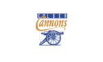 Cannons seeking Media Manager
